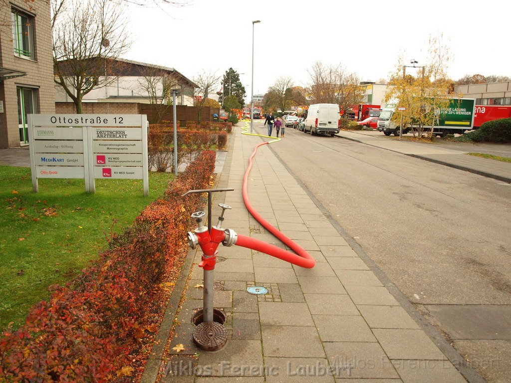 Saureaustritt Koeln Loevenich Daimlerstr P227.JPG